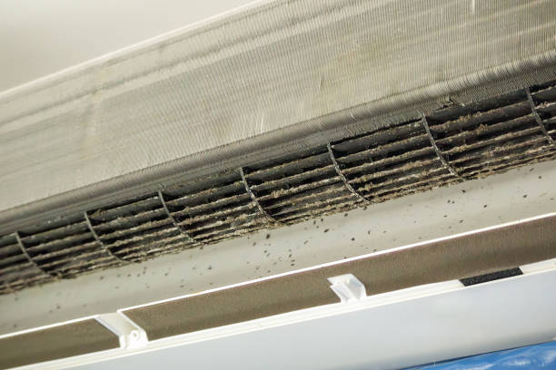 Best Air Duct Cleaning Near Me  in West Carrollton, OH